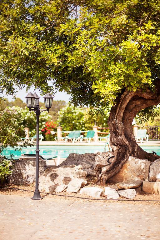 Agroturismo Can Patro Guest House Manacor  Ngoại thất bức ảnh
