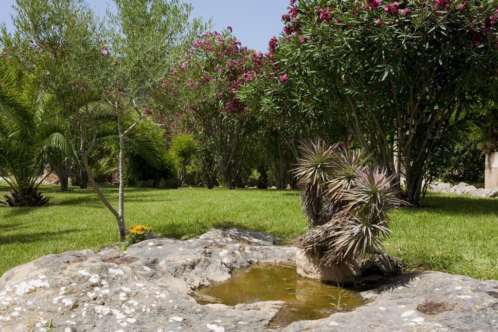 Agroturismo Can Patro Guest House Manacor  Ngoại thất bức ảnh