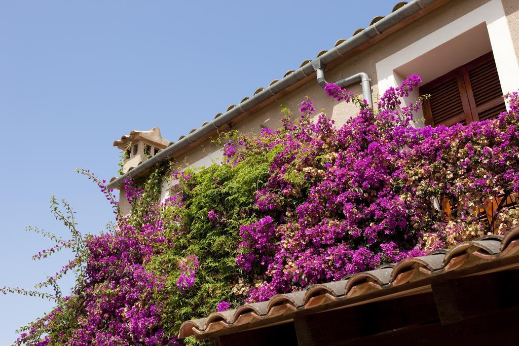 Agroturismo Can Patro Guest House Manacor  Ngoại thất bức ảnh